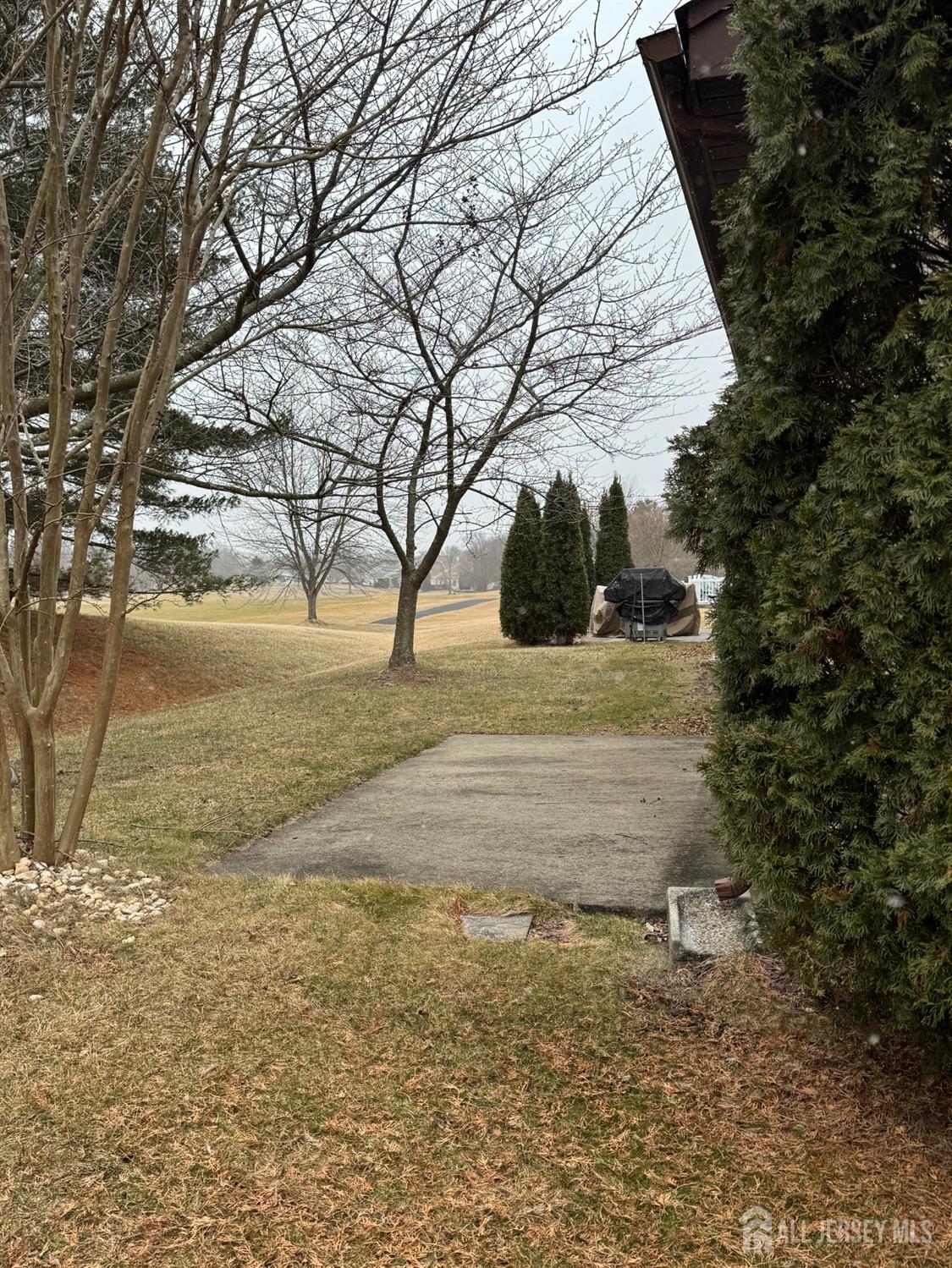 56 Chichester Road Monroe Township, NJ 08831 - Photo 32 of 34 Gallery Image 32