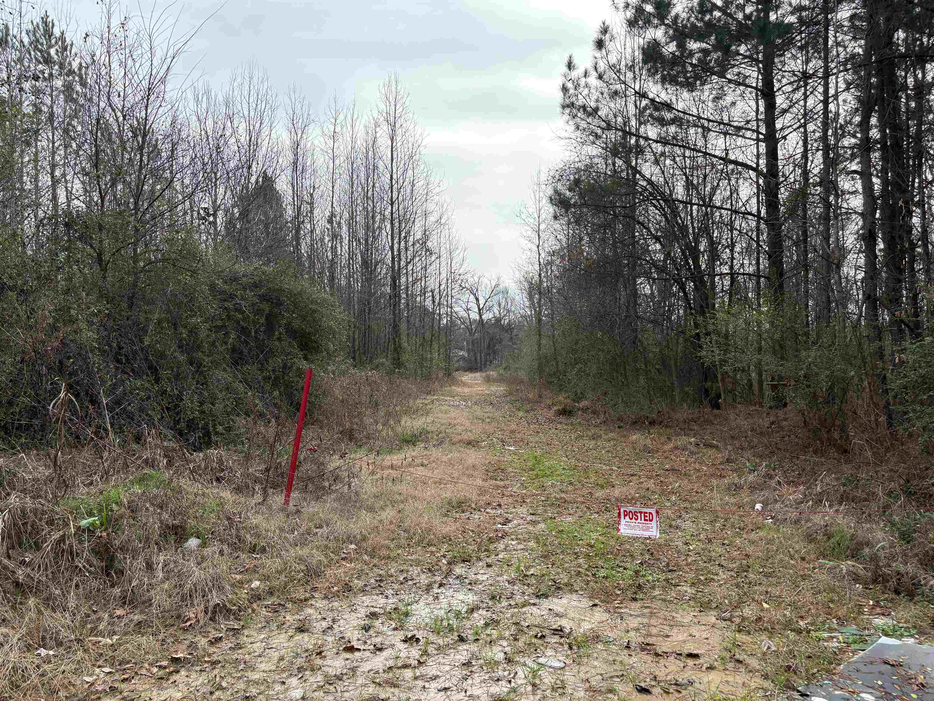 1351 West Holmes Road Memphis, TN 38109 - Photo 3 of 8 a view of a forest with trees in the background