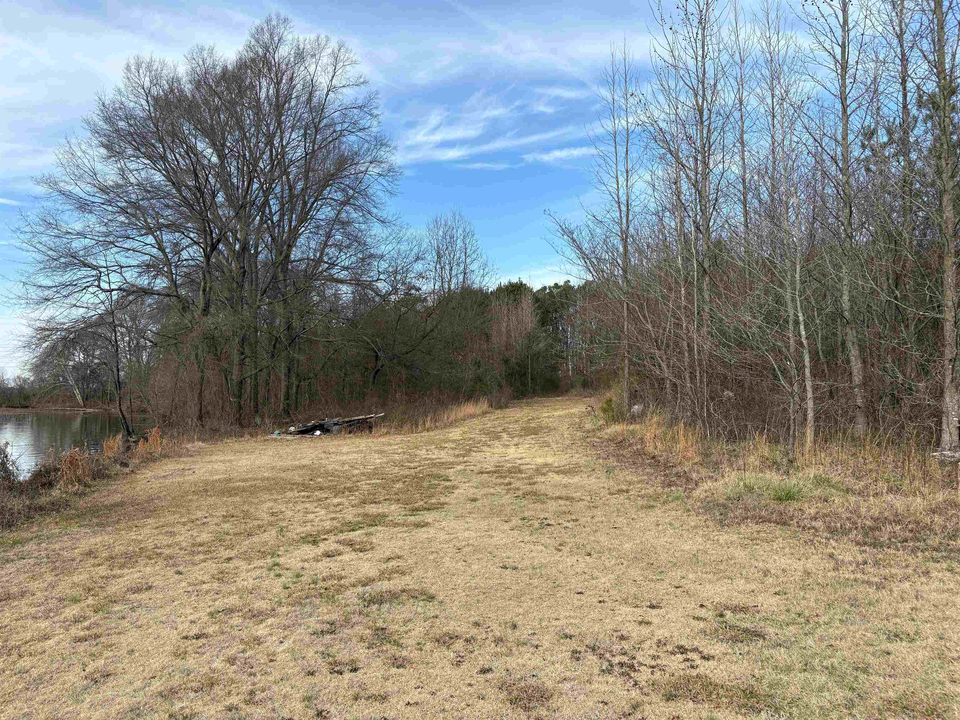 1351 West Holmes Road Memphis, TN 38109 - Photo 7 of 8 a view of a yard with large trees
