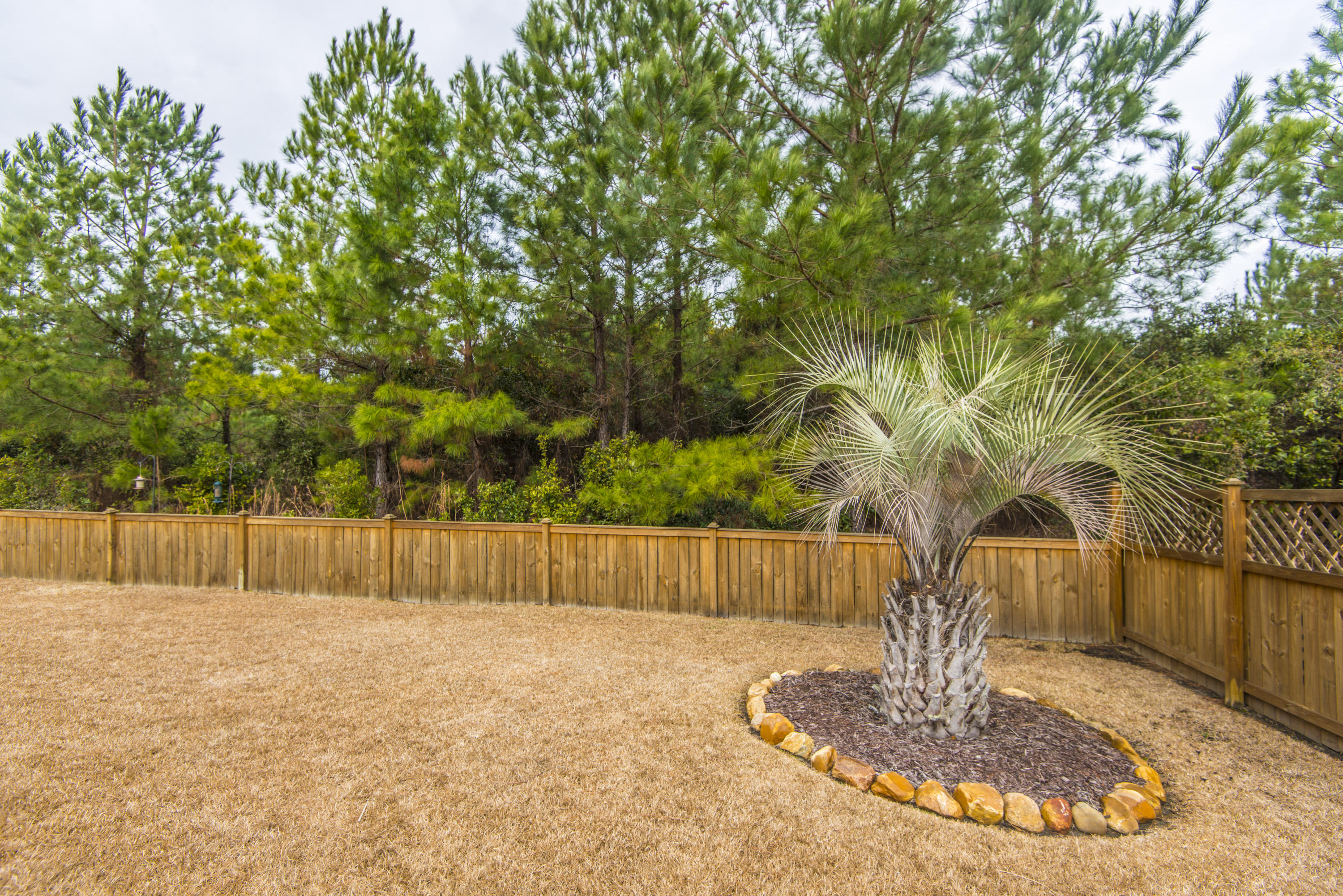 138 Royal Star Road Summerville, SC 29486 - Photo 45 of 48 138 Backyard