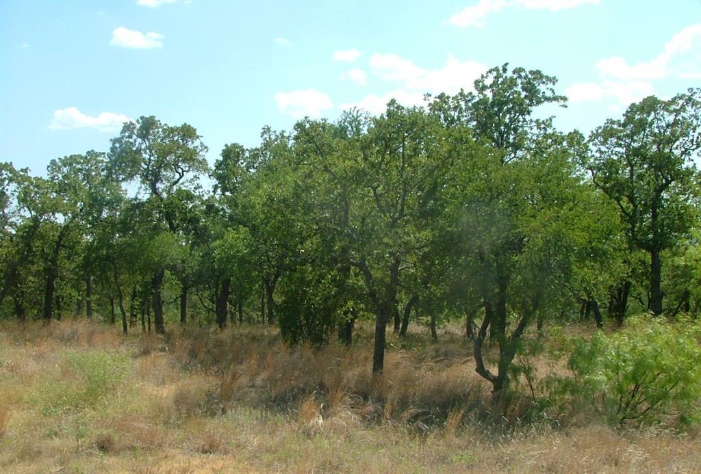 Lot 263 Ridgeline Drive Chico, TX 76431 - Photo 3 of 13 a view of a forest