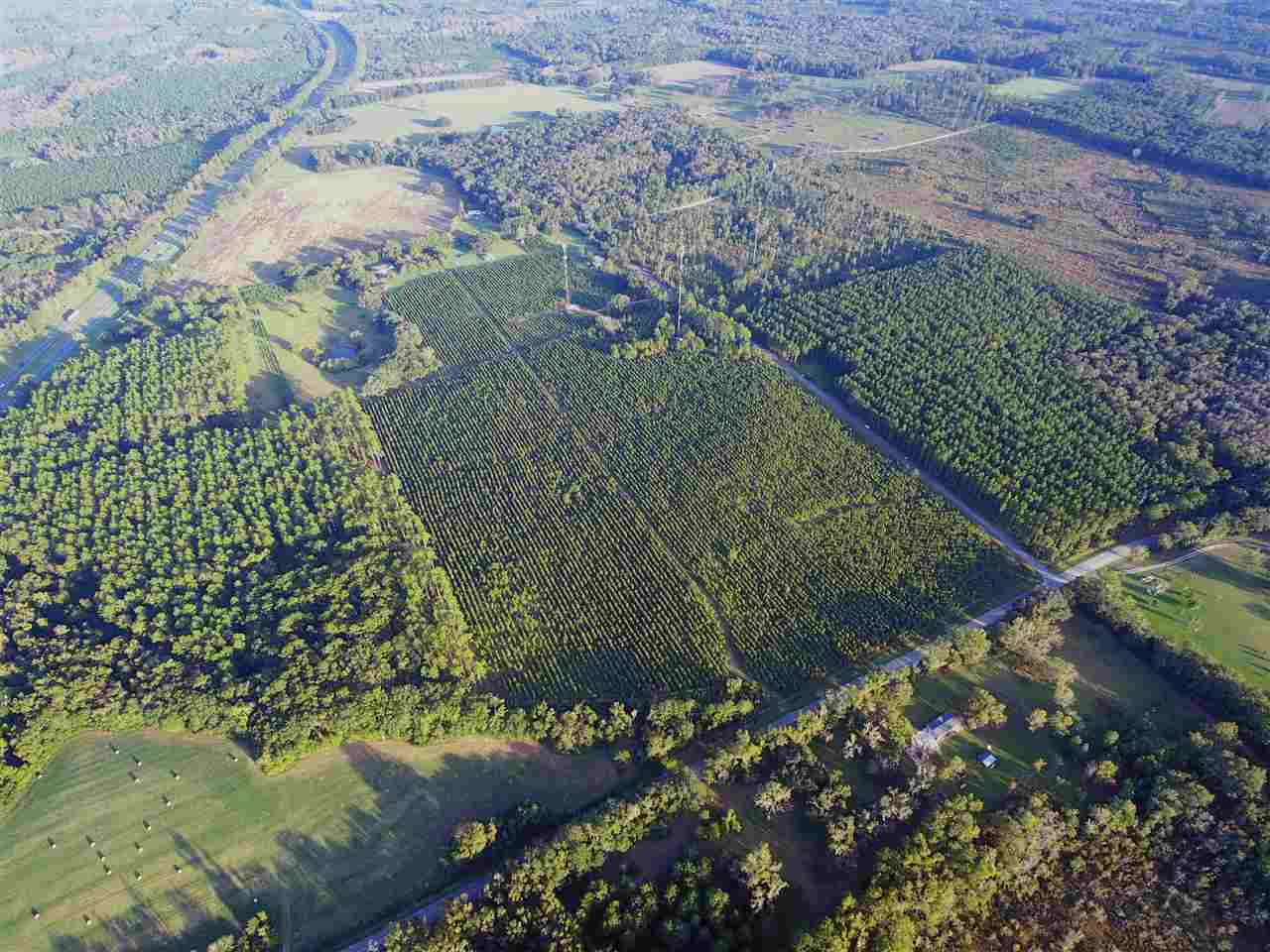 Tbd Sparks Road Monticello, FL 32344 - Photo 2 of 5