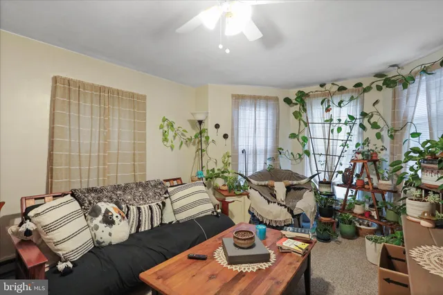 a bedroom with furniture and a potted plant