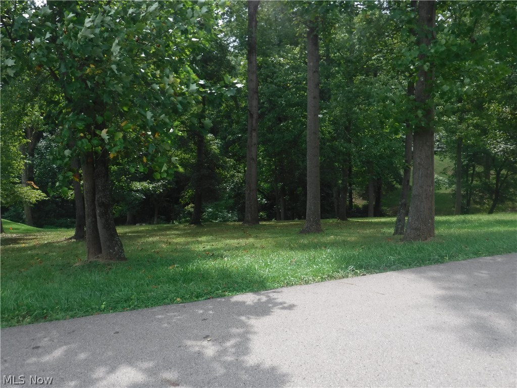 Carol Lane Dresden, OH 43821 - Photo 2 of 12 View from Carol Lane into lot.
