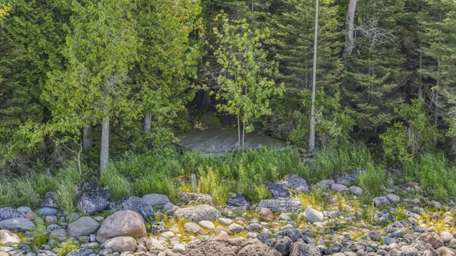 $800,000 | 36335 East Makinen Road, Drummond Island, MI 49726