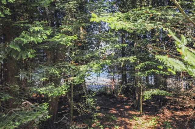 $800,000 | 36335 East Makinen Road, Drummond Island, MI 49726