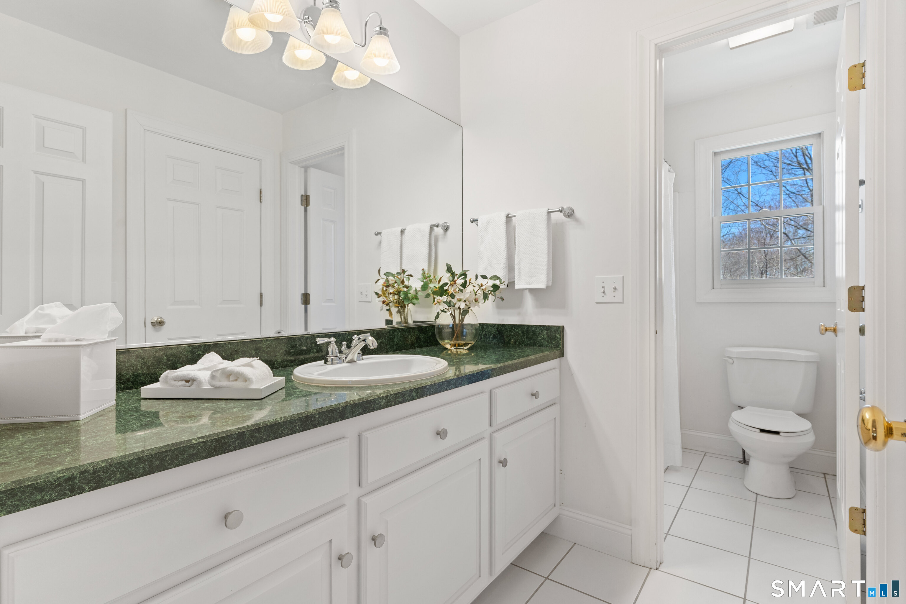 350 Chestnut Hill Road Norwalk, CT 06851 - Photo 29 of 37 Hall bath with separated shower and sink area