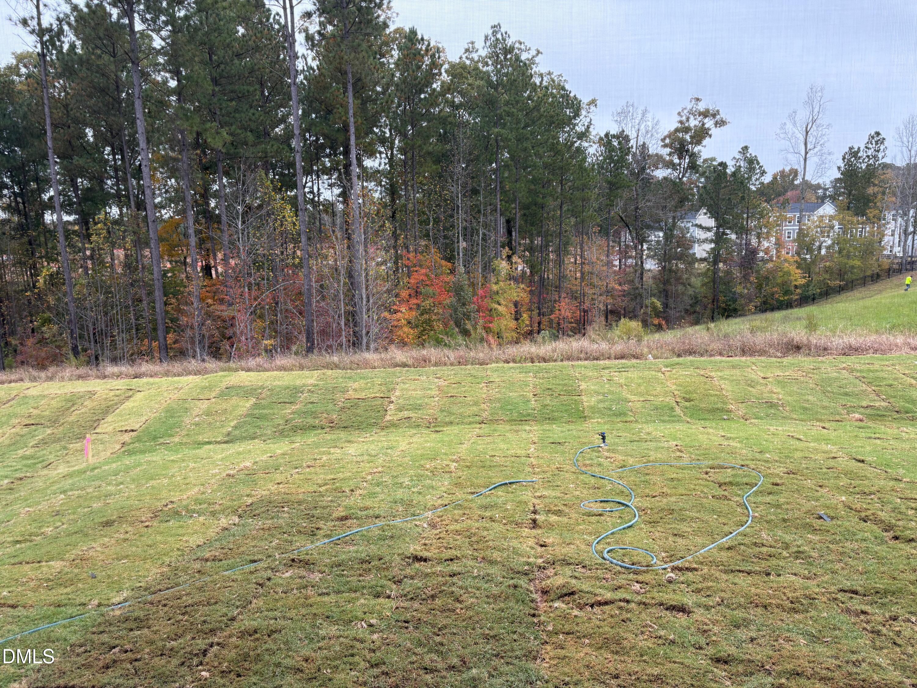 136 Corapeake Way Apex, NC 27539 - Photo 17 of 27 a view of a yard with large trees