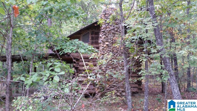 793 County Road Centre, AL 35960 - Photo 22 of 32