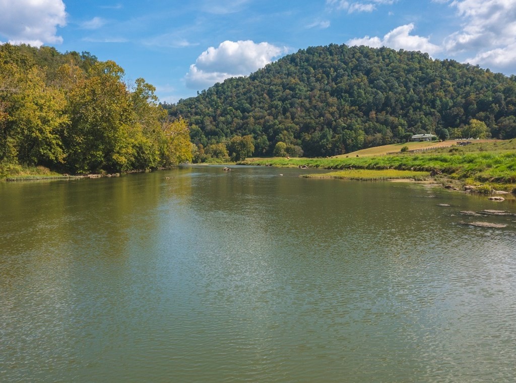215 Ed Hollow Road Eidson, TN 37731 - Photo 14 of 60 Gallery Image 14