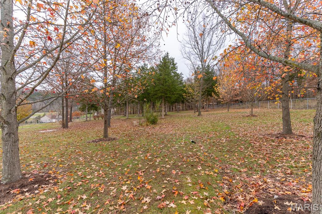 4126 Fountain City Road De Soto, MO 63020 - Photo 41 of 50