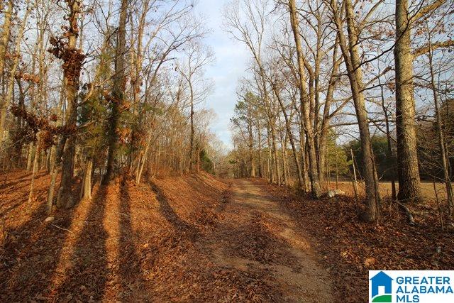 264 Pepper Road Cropwell, AL 35054 - Photo 19 of 38
