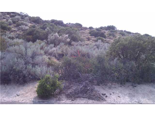 1926 La Posta Road Campo, CA 91906 - Photo 1 of 3 Gallery Image 1