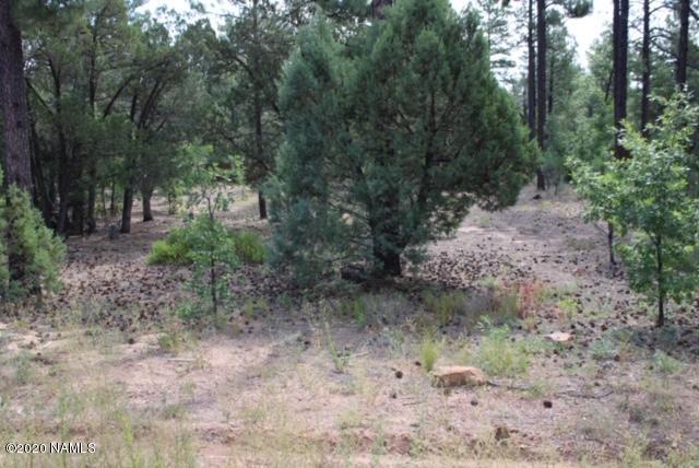 5773 Starlight Ridge Road Lakeside, AZ 85929 - Photo 4 of 6 Quiet Neighborhood