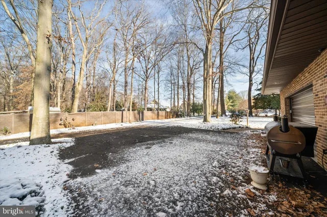 a view of a yard with large trees