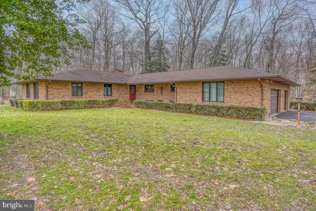 a view of a yard with plants