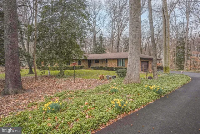 a front view of a house with a yard covered with snow and trees