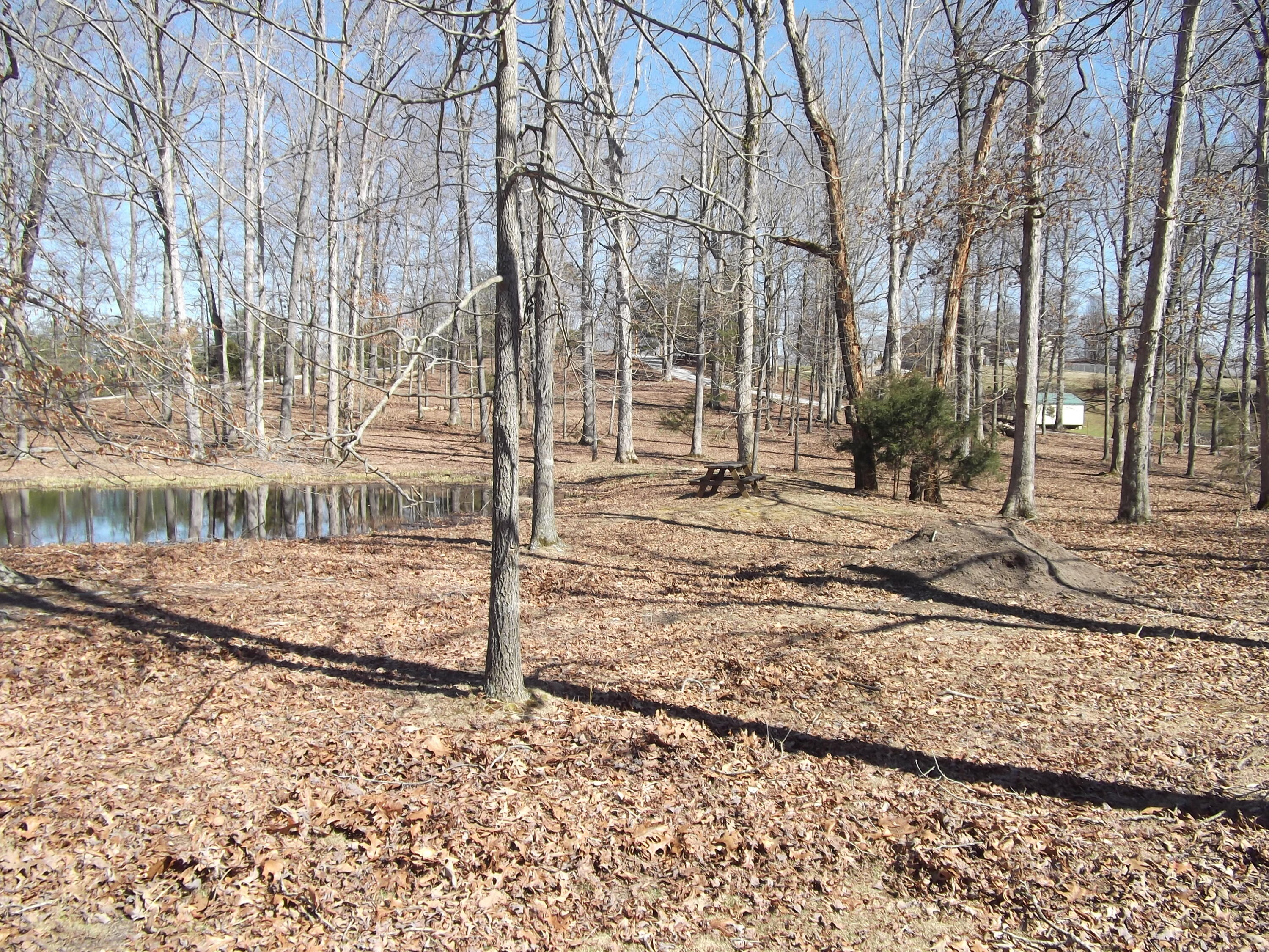 1943 Greenbriar Road Monticello, KY 42633 - Photo 3 of 24 DSCF0424
