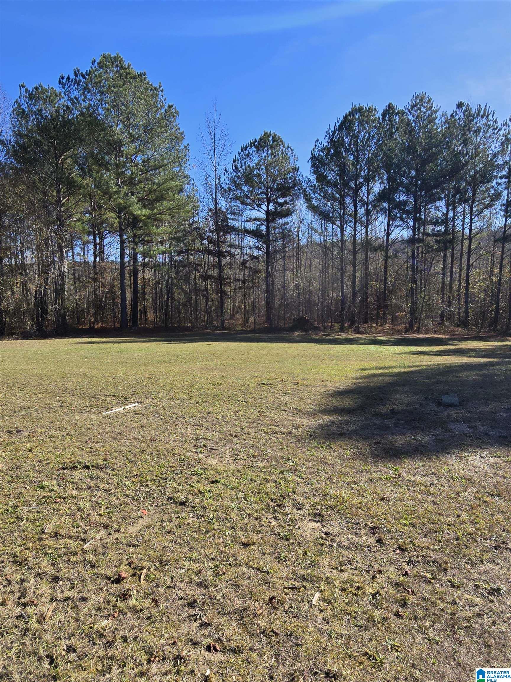 4850 Shoal Creek Road, Unit ACREAGE Ashville, AL 35953 - Photo 1 of 18
