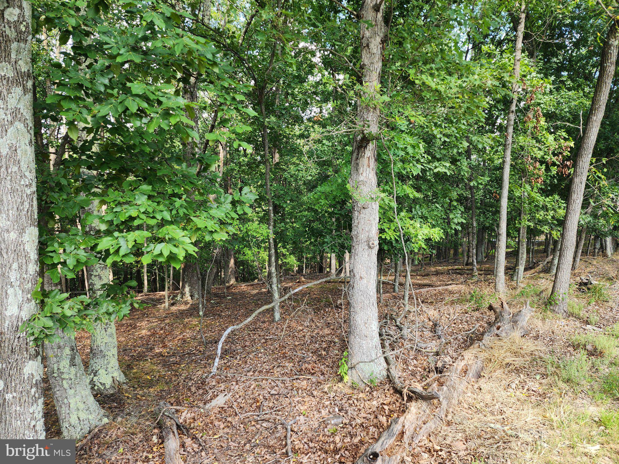 2.53 Acres Timber Ridge Road Berkeley Springs, WV 25411 - Photo 2 of 13 Gallery Image 2