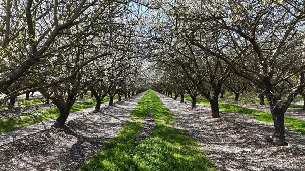 $2,165,000 | 11152 Carrolton Road, Escalon, CA 95320