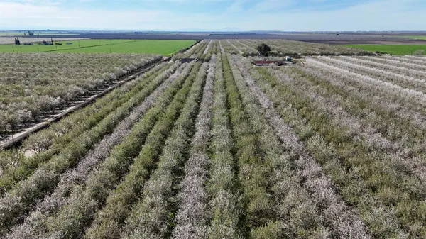 $2,165,000 | 11152 Carrolton Road, Escalon, CA 95320