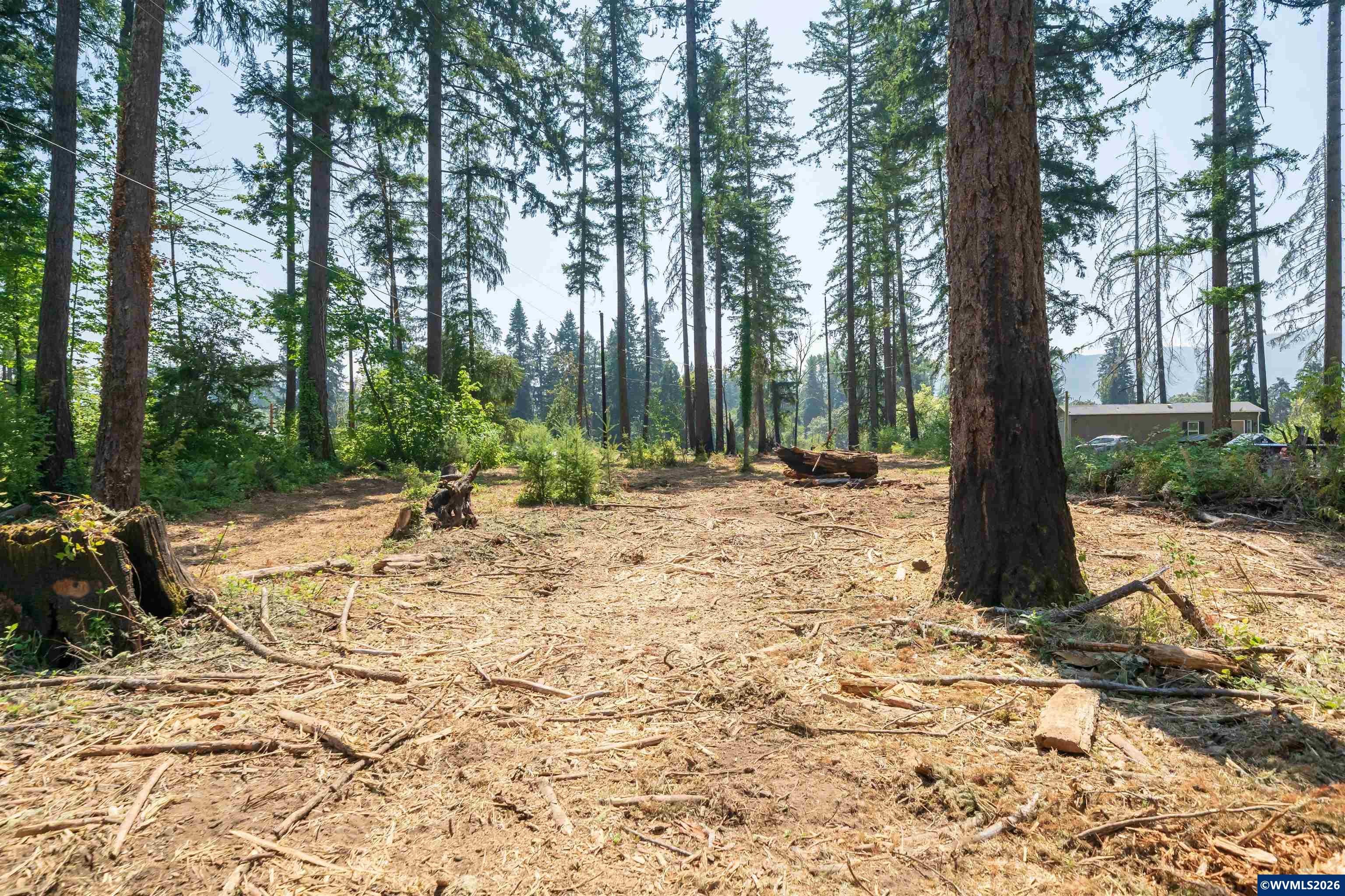 Lot 1101 Santiam Park Road Lyons, OR 97358 - Photo 11 of 18 Gallery Image 11