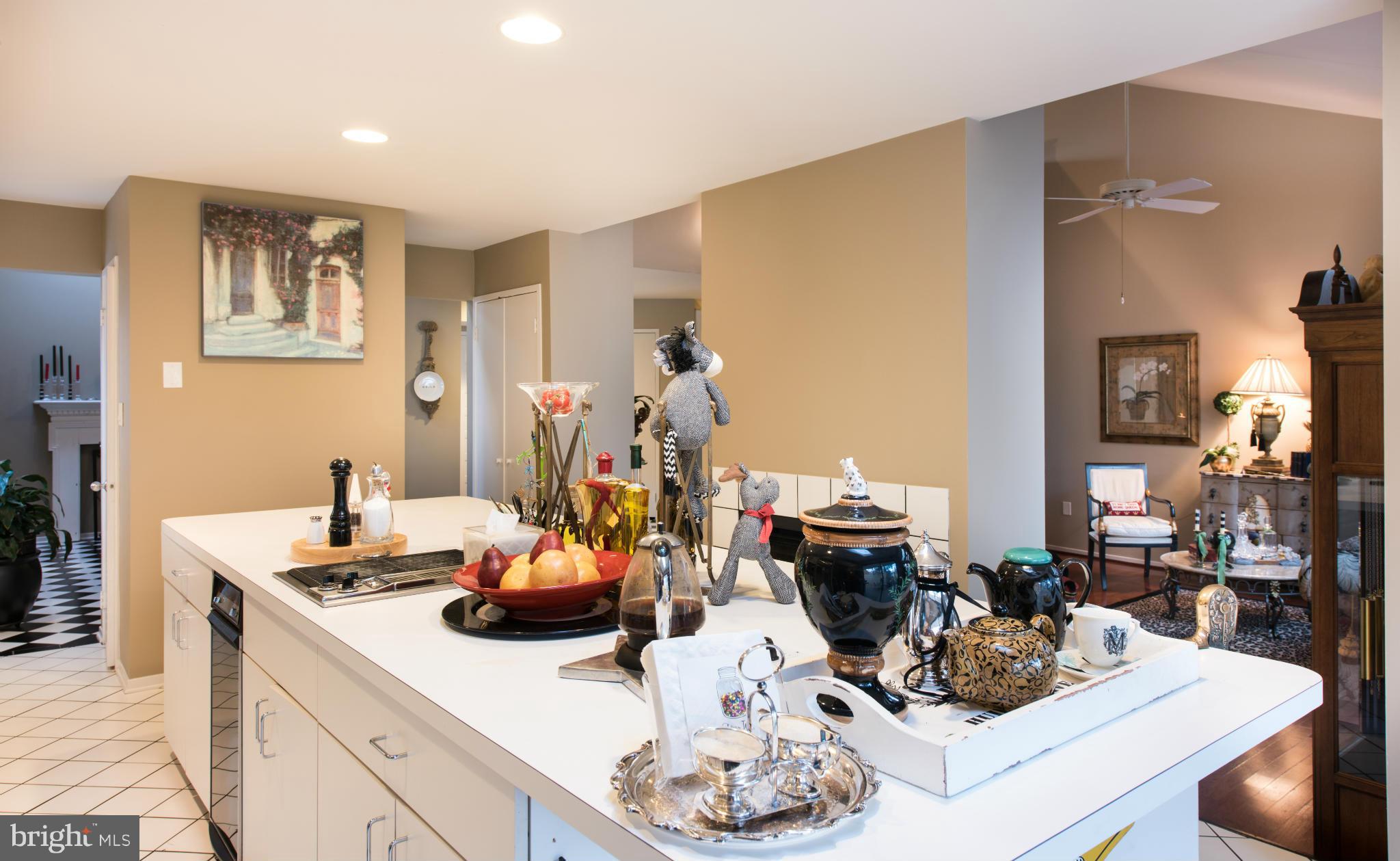 1996 Solaridge Court Reston, VA 20191 - Photo 10 of 28 Kitchen