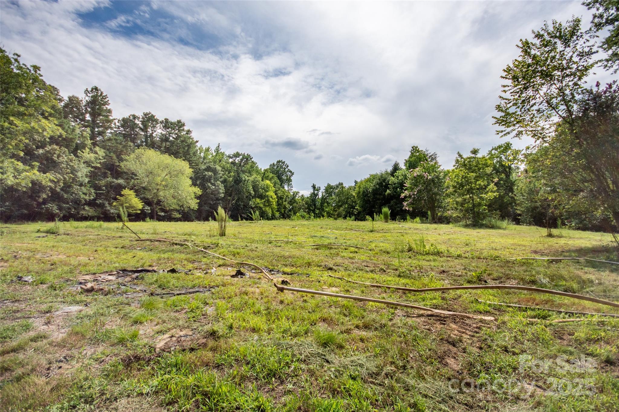 10245 Cool Springs Road Cleveland, NC 27013 - Photo 38 of 48 a view of a yard with an trees