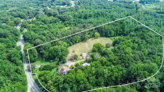 a view of a backyard with plants and large trees