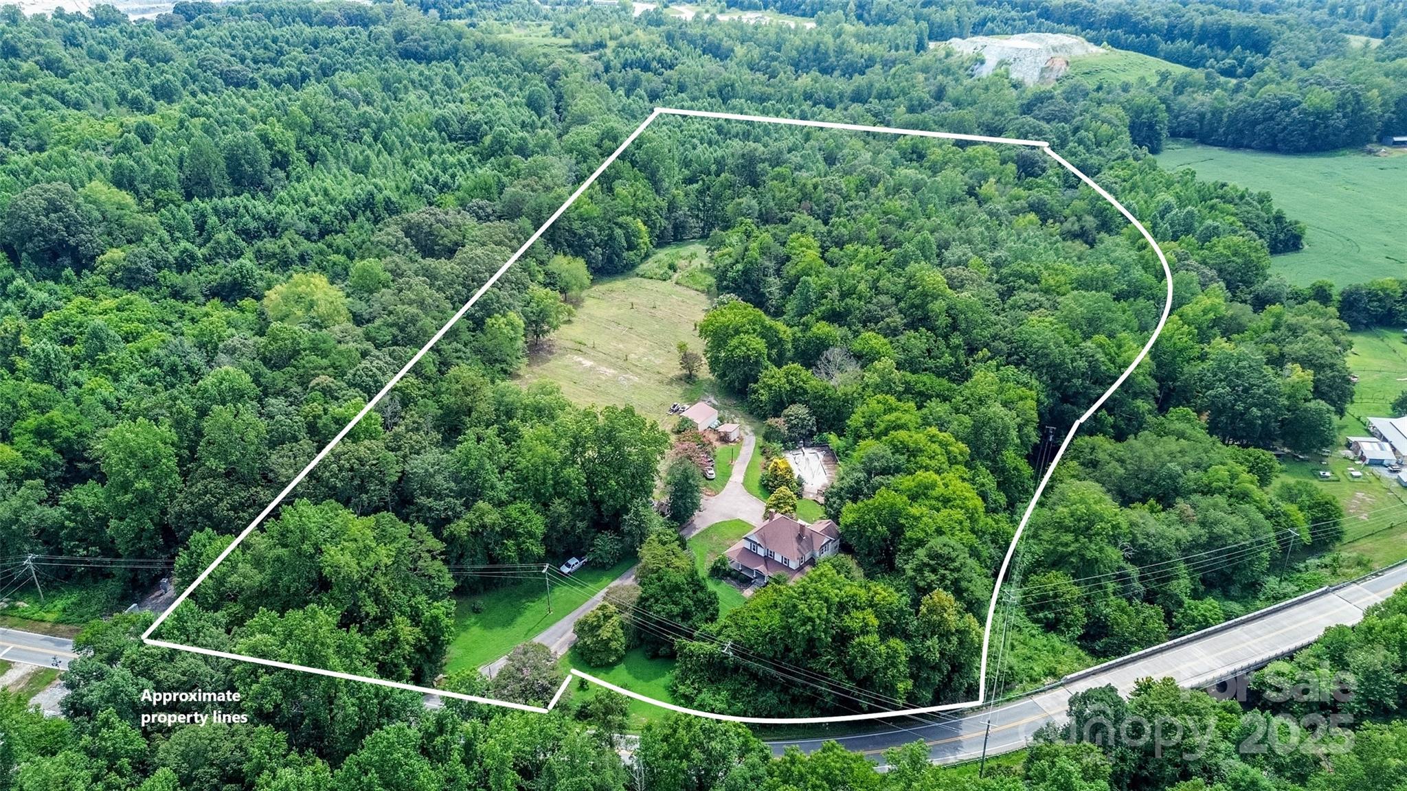 10245 Cool Springs Road Cleveland, NC 27013 - Photo 48 of 48 a view of a backyard with plants and large trees