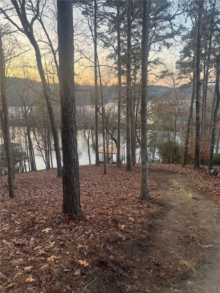 113 Deep Cove Court Sunset, SC 29685 - Photo 2 of 9 This serene wooded lot offers direct access to a tranquil lake, perfect for outdoor enthusiasts.