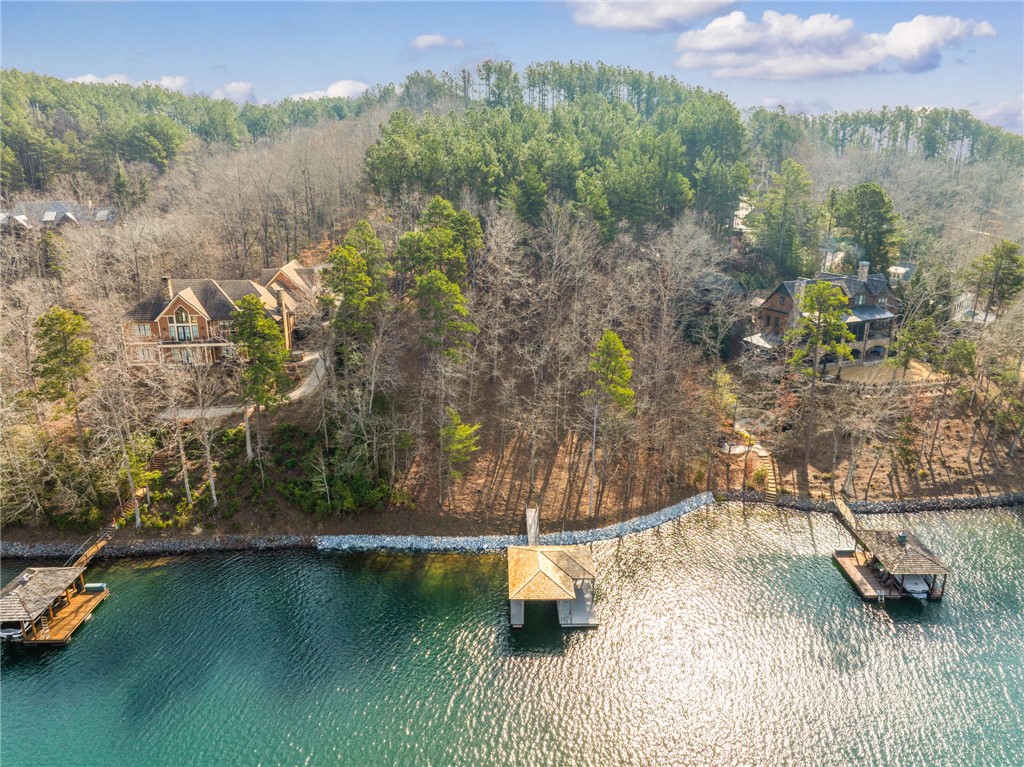 113 Deep Cove Court Sunset, SC 29685 - Photo 3 of 9 This scenic waterfront property offers serene views and private docks, perfect for tranquil lakeside living.