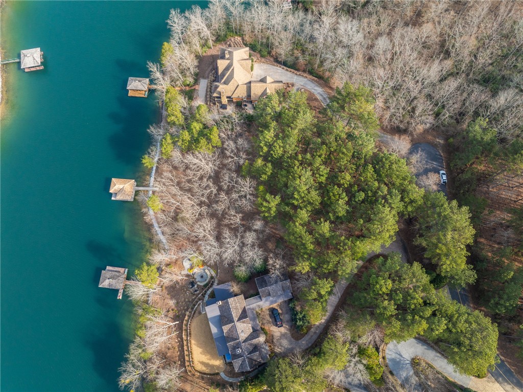 113 Deep Cove Court Sunset, SC 29685 - Photo 5 of 9 This aerial perspective showcases a beautiful waterfront property with a serene lake and lush surroundings.