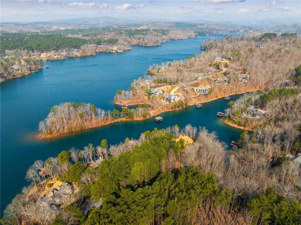113 Deep Cove Court Sunset, SC 29685 - Photo 7 of 9 This aerial view showcases a vibrant lake with homes nestled along its wooded shores.