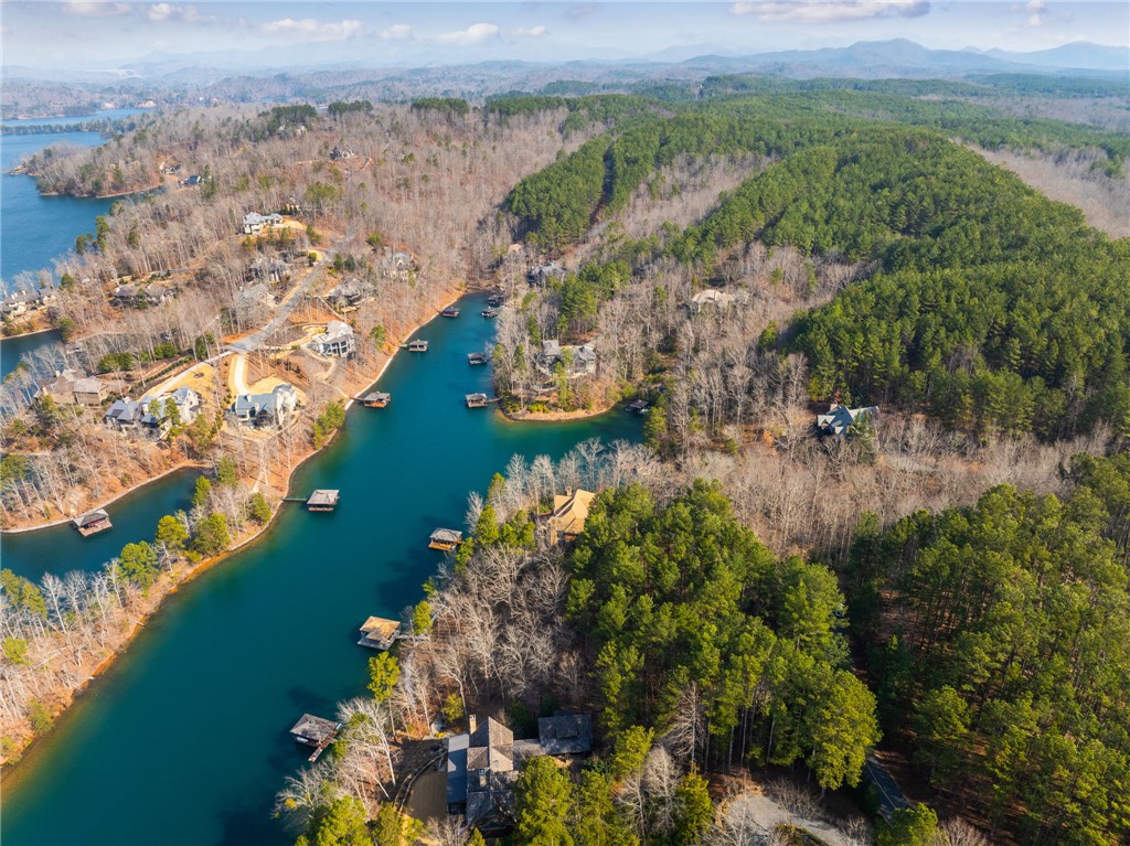 113 Deep Cove Court Sunset, SC 29685 - Photo 9 of 9 This scenic aerial view captures waterfront homes nestled among lush trees and tranquil waters.