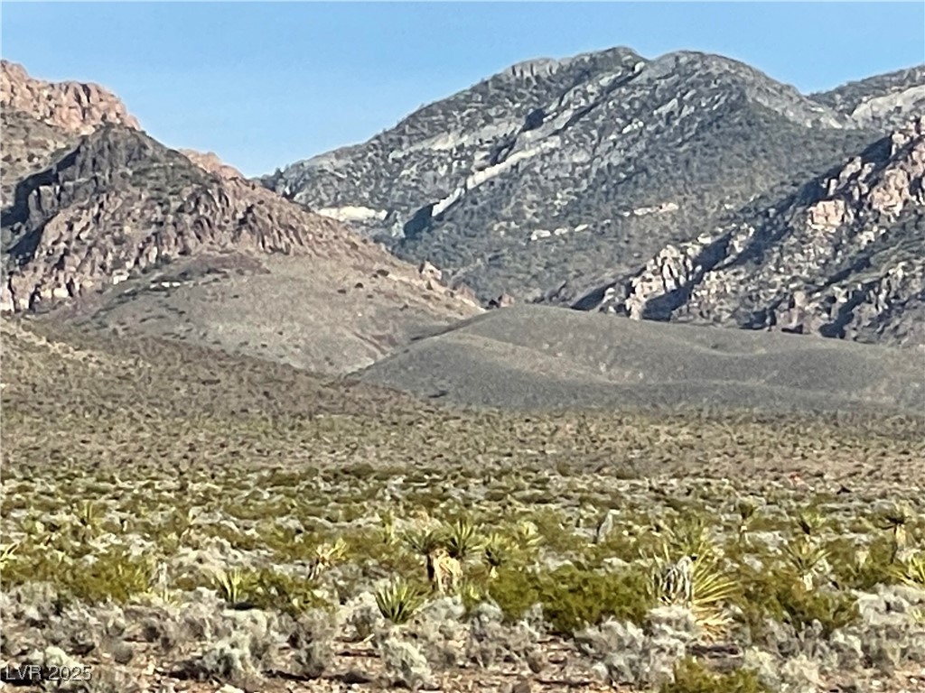 340 East Anchor Road Pahrump, NV 89060 - Photo 3 of 4 View of mountain backdrop