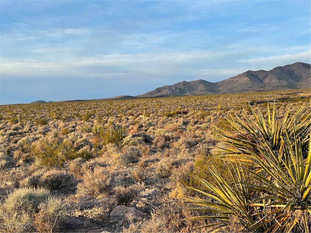 340 East Anchor Road Pahrump, NV 89060 - Photo 4 of 4 LOCAL NEIGHBORS