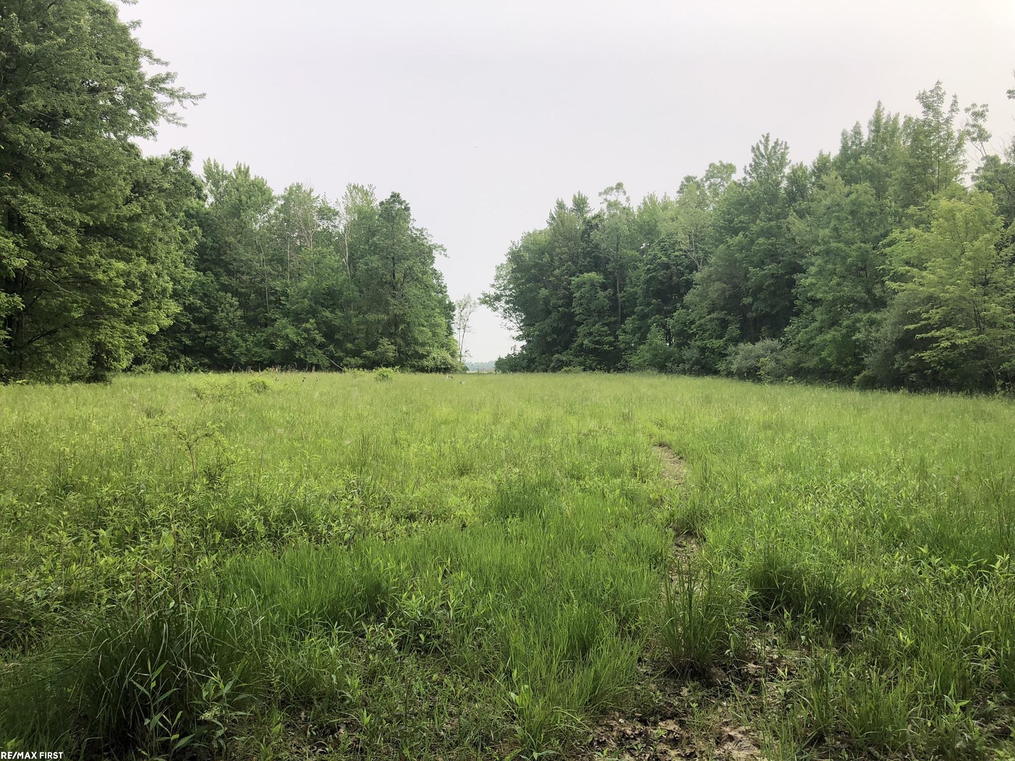 0 29 29 Mile Road New Haven, MI 48050 - Photo 24 of 38