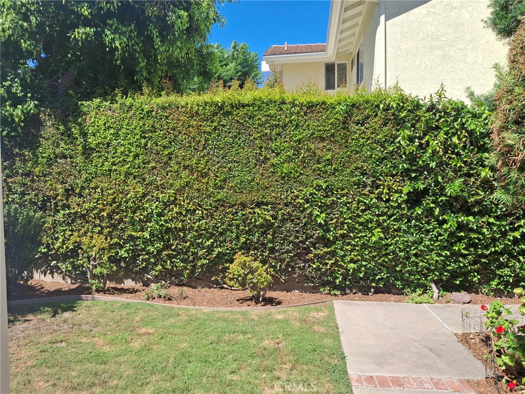 12 Hidalgo Irvine, CA 92620 - Photo 23 of 24 a view of a yard with plants and a small yard