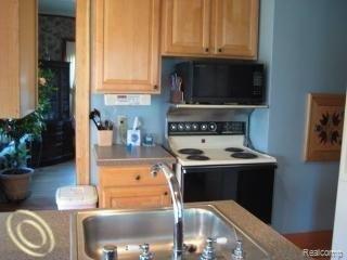 34 Abbott Street River Rouge, MI 48218 - Photo 12 of 14 abbott 12.jpg