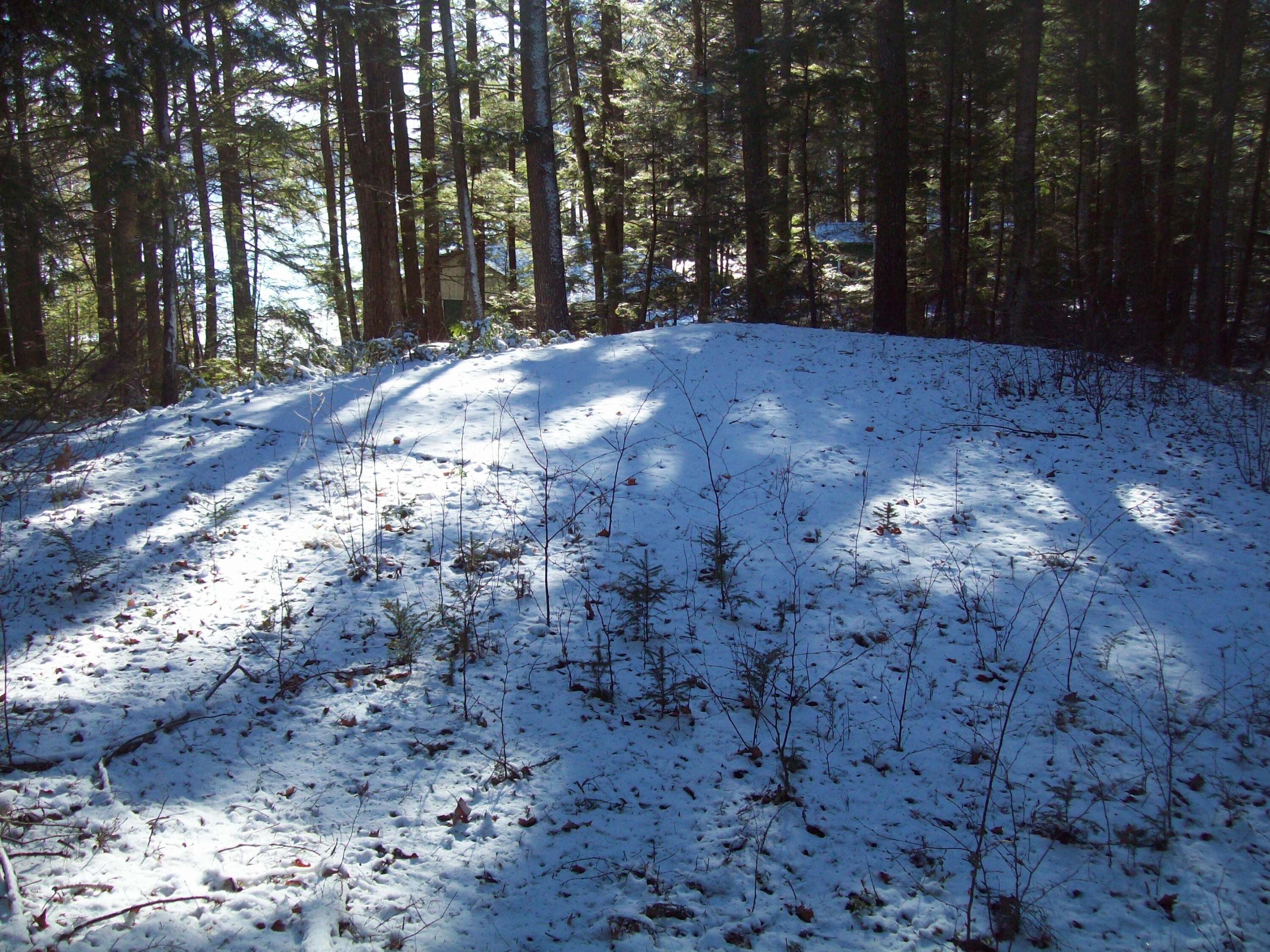 Tbd West Madagascal Road Burlington, ME 04417 - Photo 7 of 10 100_2462