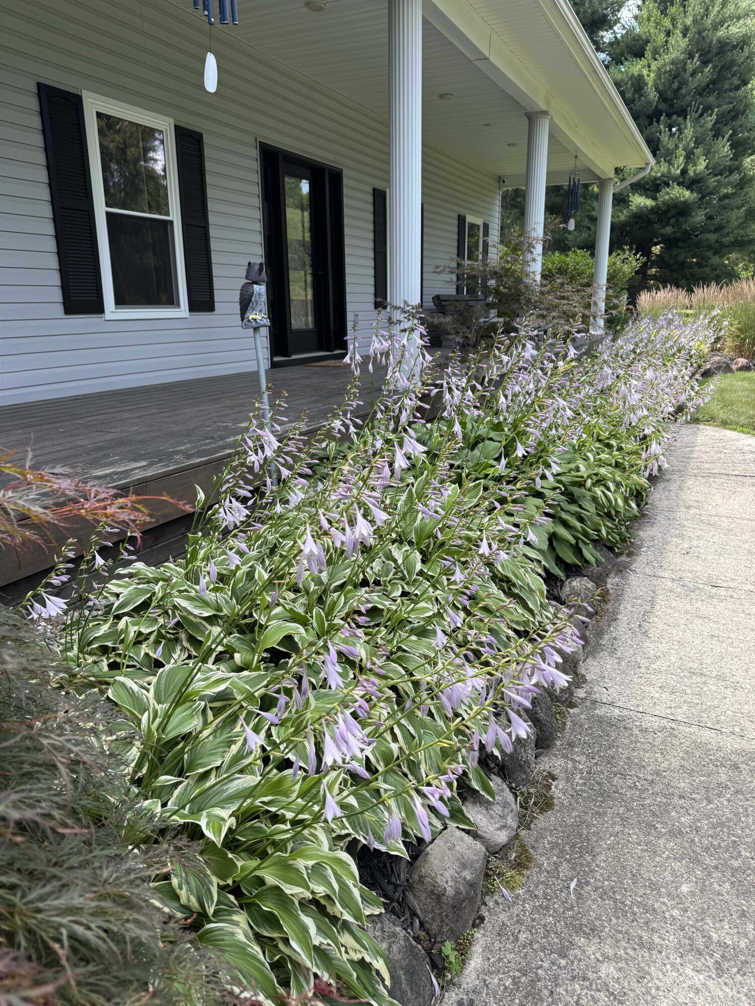 5580 Textile Road Ypsilanti, MI 48197 - Photo 89 of 107 Landscaping