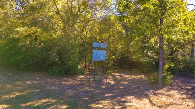 a view of yard with green space