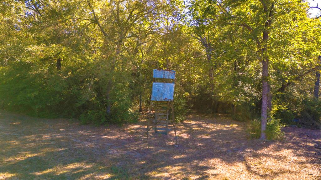45 Interstate 45 Fairfield, TX 75840 - Photo 23 of 32 a backyard of a house with lots of green space