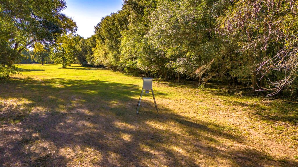45 Interstate 45 Fairfield, TX 75840 - Photo 24 of 32 a view of yard with swimming pool and trees in the background