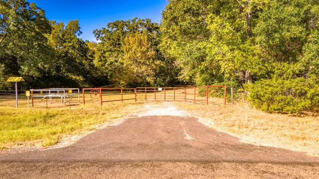 a view of road and trees