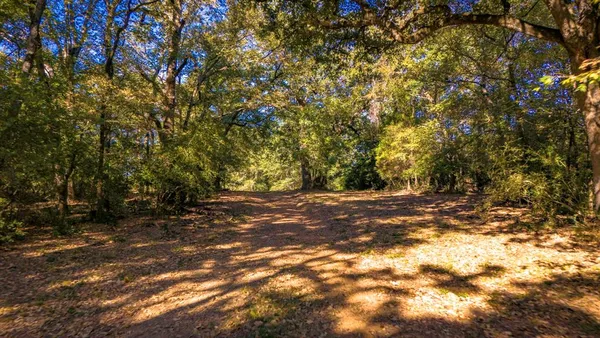 $1,515,000 | 45 Interstate 45, Fairfield, TX 75840