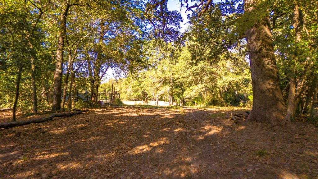 45 Interstate 45 Fairfield, TX 75840 - Photo 32 of 32 a view of road and trees