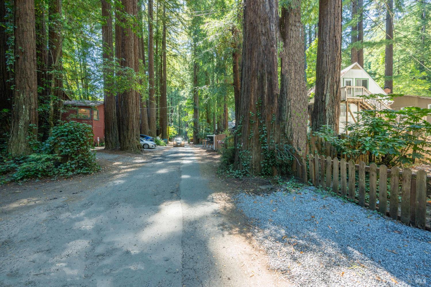 17390 Riverside Drive Guerneville, CA 95446 - Photo 16 of 20 a view of backyard with green space